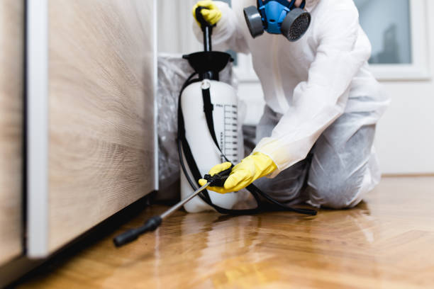 Best Pest Inspection Near Me  in Red Boiling Springs, TN