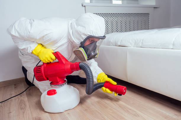 Best Flea Control Services  in Red Boiling Springs, TN