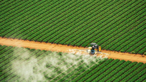 Red Boiling Springs, TN Pest Control Company