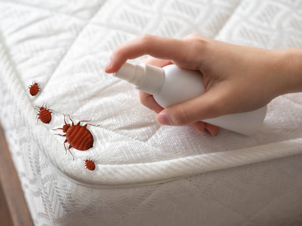 Best Pest Prevention Services  in Red Boiling Springs, TN