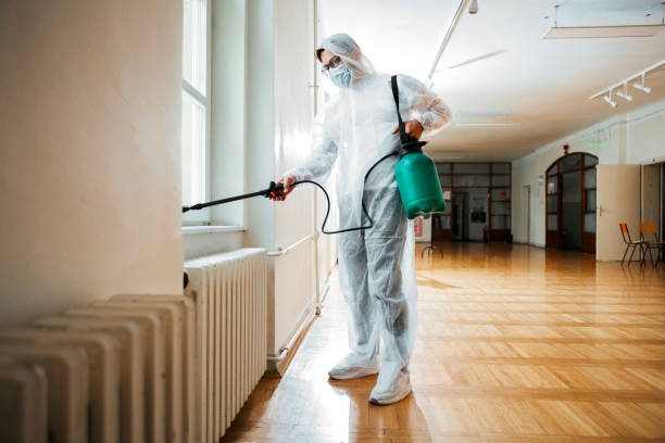 Best Termite Control Services  in Red Boiling Springs, TN