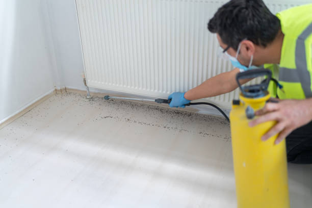 Best Commercial Pest Control Services  in Red Boiling Springs, TN