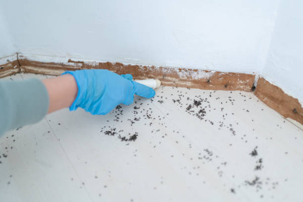 Pest Prevention Services in Red Boiling Springs, TN